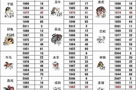 71年次屬狗|生肖属狗的年份 狗属相年份表